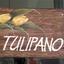 Doris Zimmermann - Tulipano Artesanato