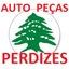 PERDIZES AUTO PECAS
